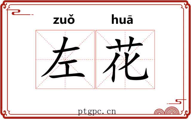 左花 左花
