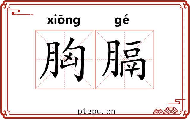 胸膈 胸膈