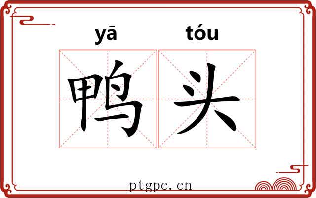 鸭头 鸭头