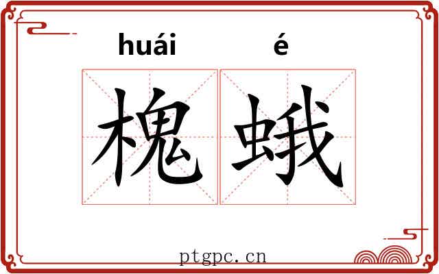槐蛾