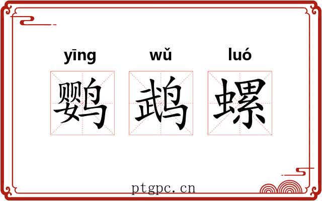 鹦鹉螺 鹦鹉螺