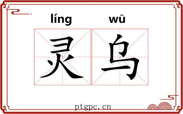 灵乌