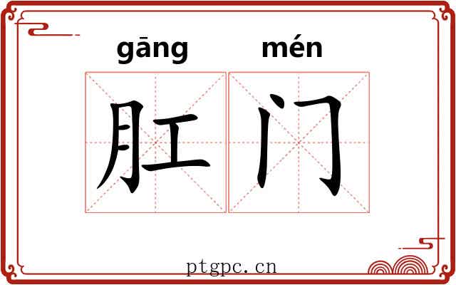 肛门