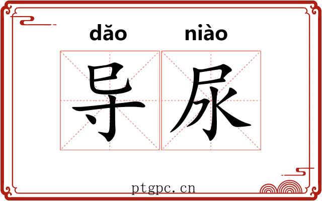导尿