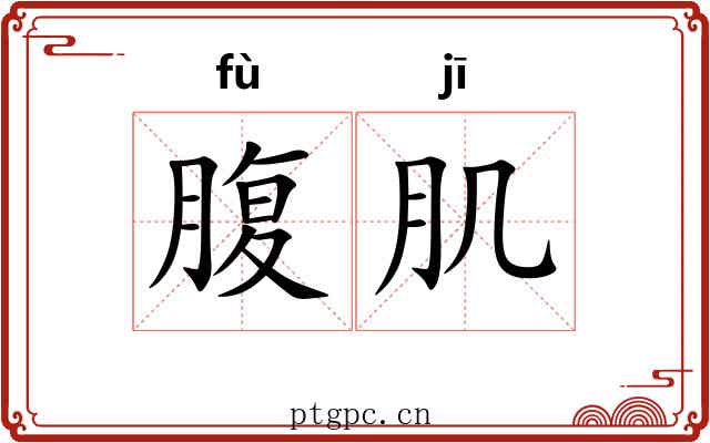 腹肌