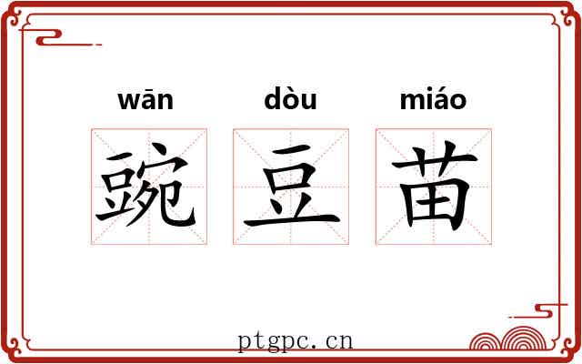 豌豆苗