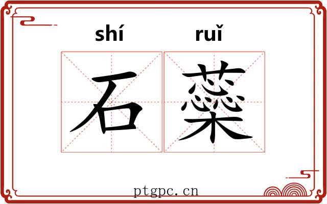 石蘂