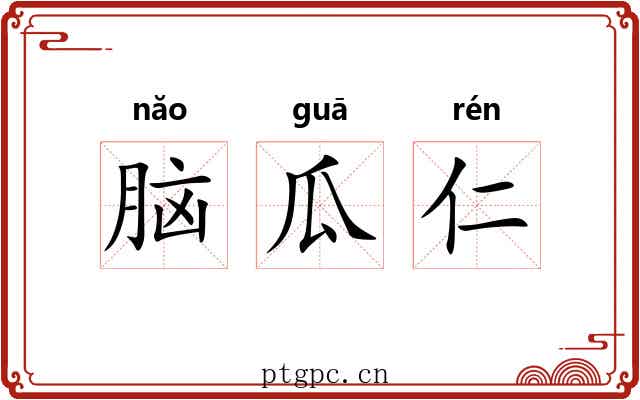 脑瓜仁 脑瓜仁