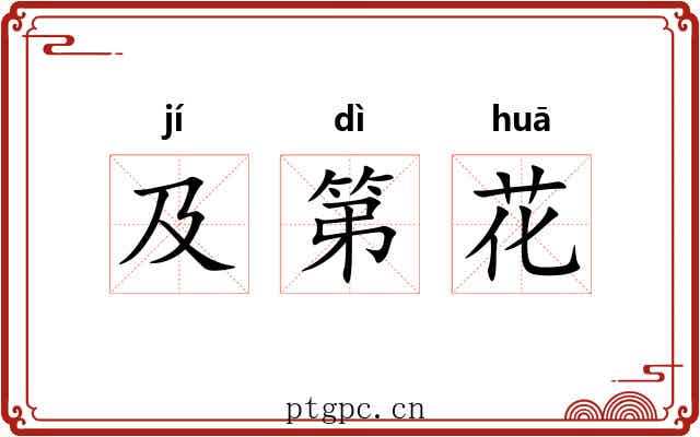及第花 及第花