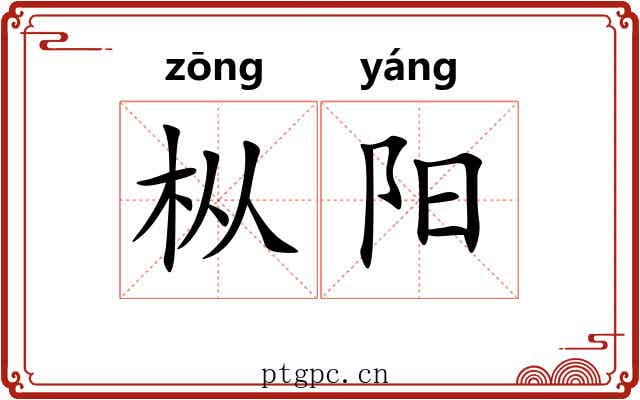 枞阳 枞阳