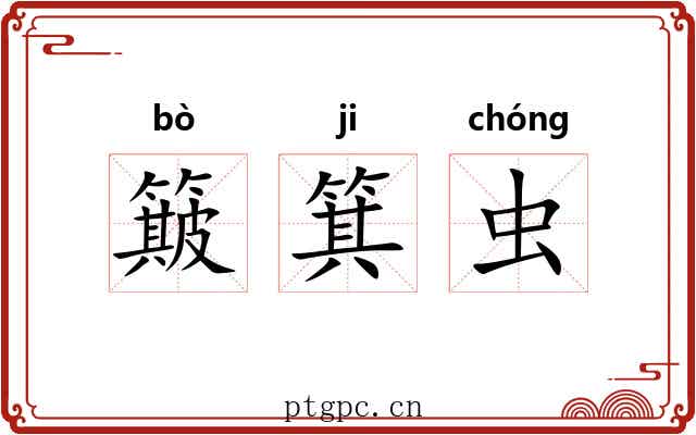 簸箕虫 簸箕虫