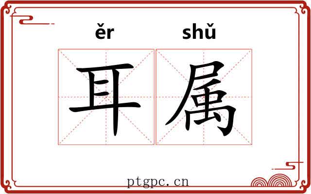 耳属 耳属