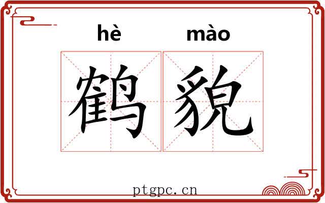 鹤貌