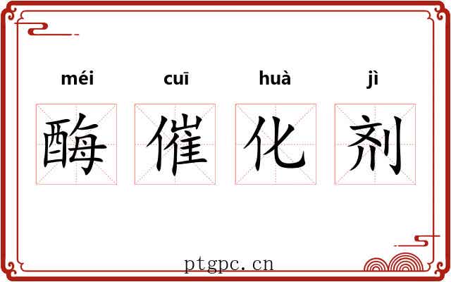 酶催化剂 酶催化剂