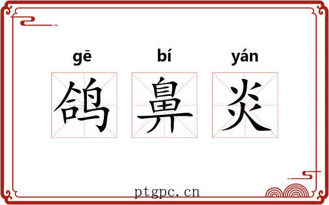 鸽鼻炎 鸽鼻炎