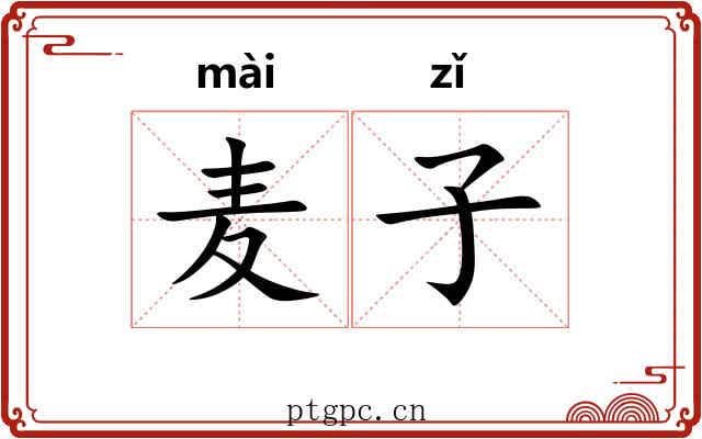 麦子 麦子