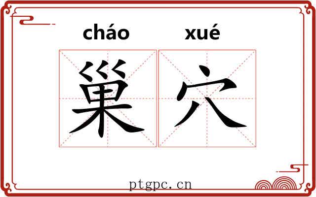 巢穴 巢穴