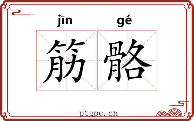 筋骼