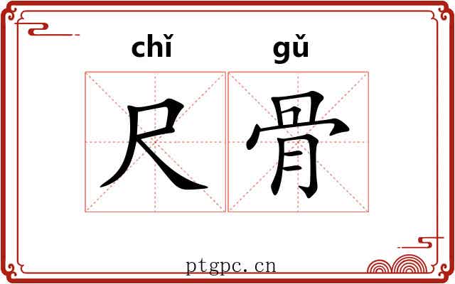 尺骨 尺骨