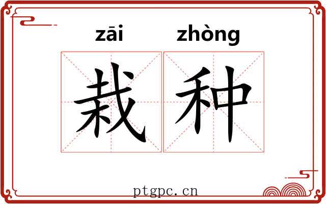 栽种