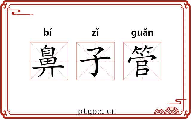 鼻子管 鼻子管