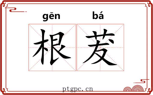 根茇 根茇