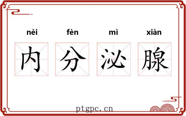 内分泌腺