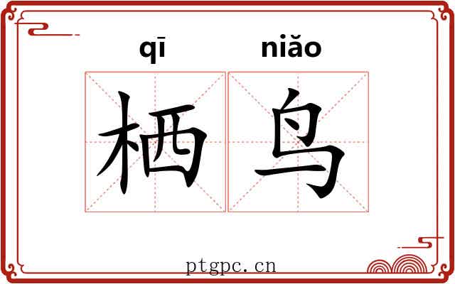栖鸟