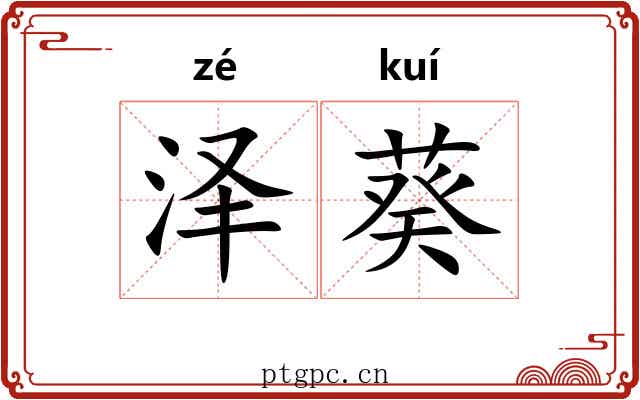 泽葵 泽葵