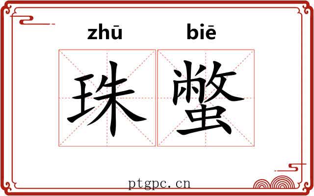 珠蟞