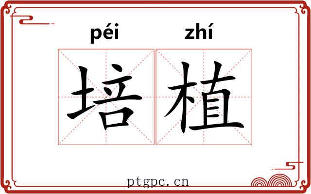 培植 培植