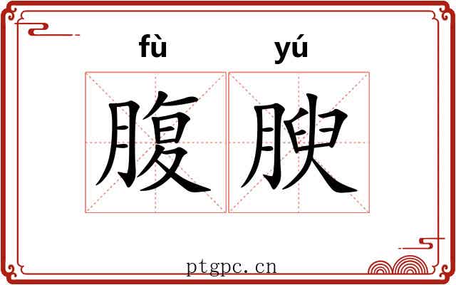 腹腴
