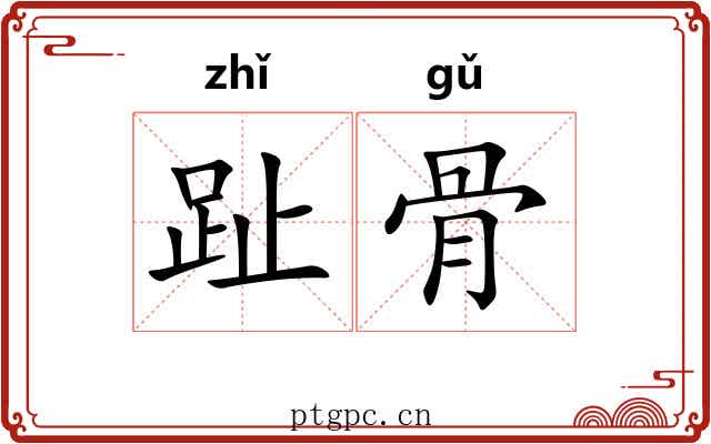 趾骨 趾骨