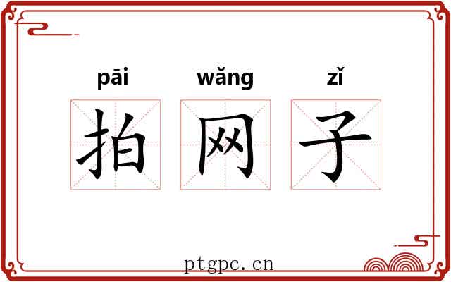 拍网子 拍网子