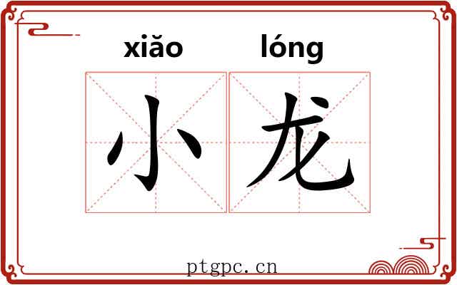 小龙 小龙