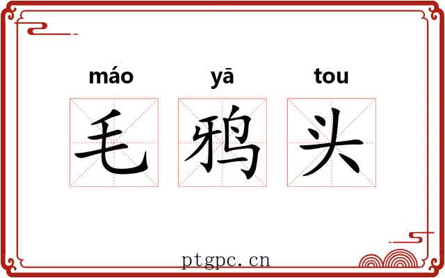 毛鸦头 毛鸦头