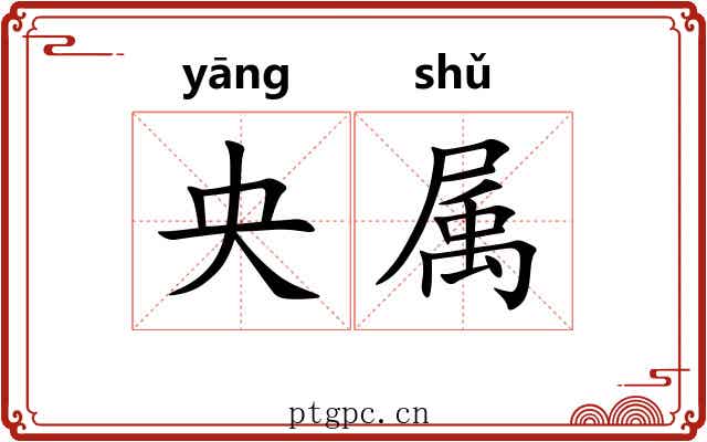 央属 央属