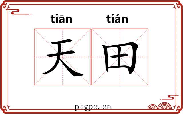 天田