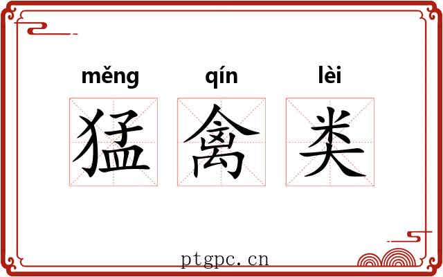 猛禽类