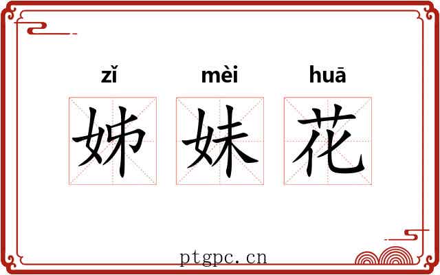 姊妹花 姊妹花