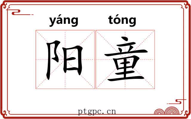 阳童 阳童