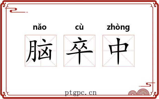 脑卒中 脑卒中