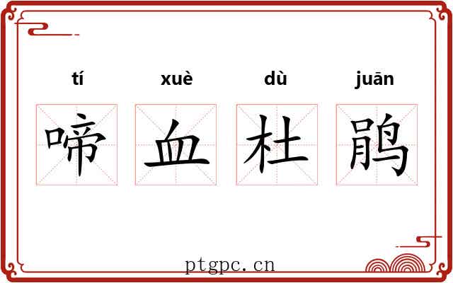 啼血杜鹃