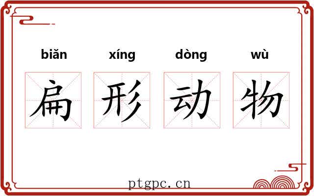 扁形动物 扁形动物