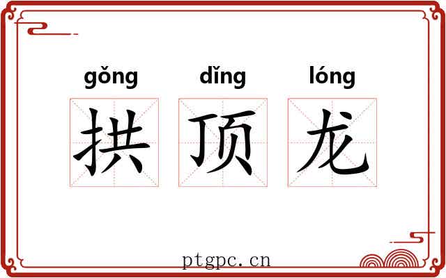 拱顶龙 拱顶龙