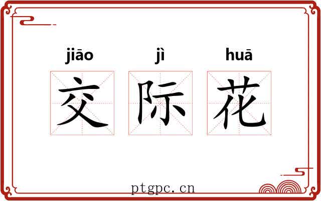 交际花 交际花