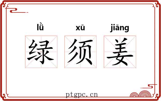 绿须姜 绿须姜