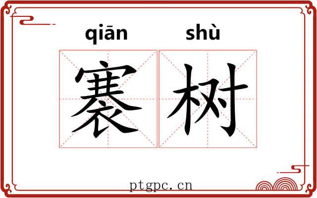 褰树