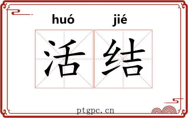 活结 活结