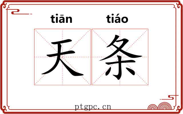 天条 天条